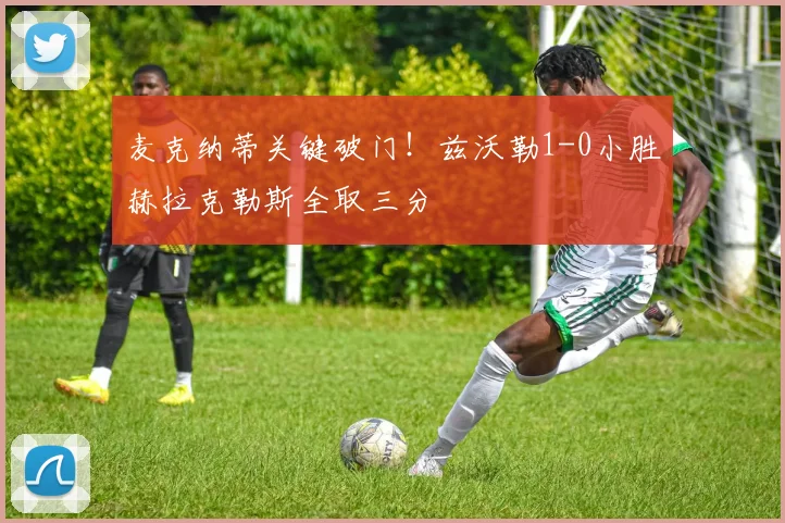 麦克纳蒂关键破门！兹沃勒1-0小胜赫拉克勒斯全取三分